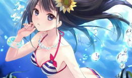 动漫泳装,动漫中的清凉诱惑与青春活力